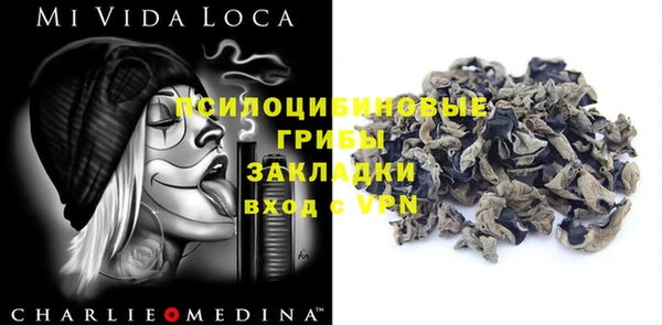гидра Абаза