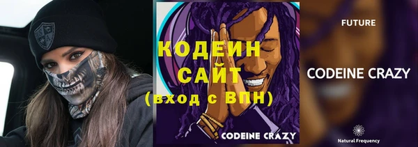 гидра Елизово