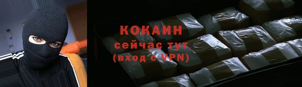 гидра Абаза