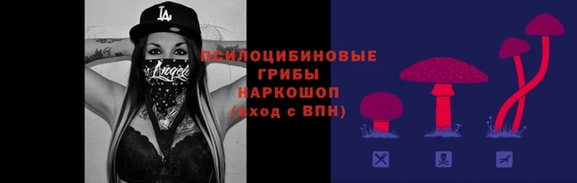 прущий лед Алексеевка